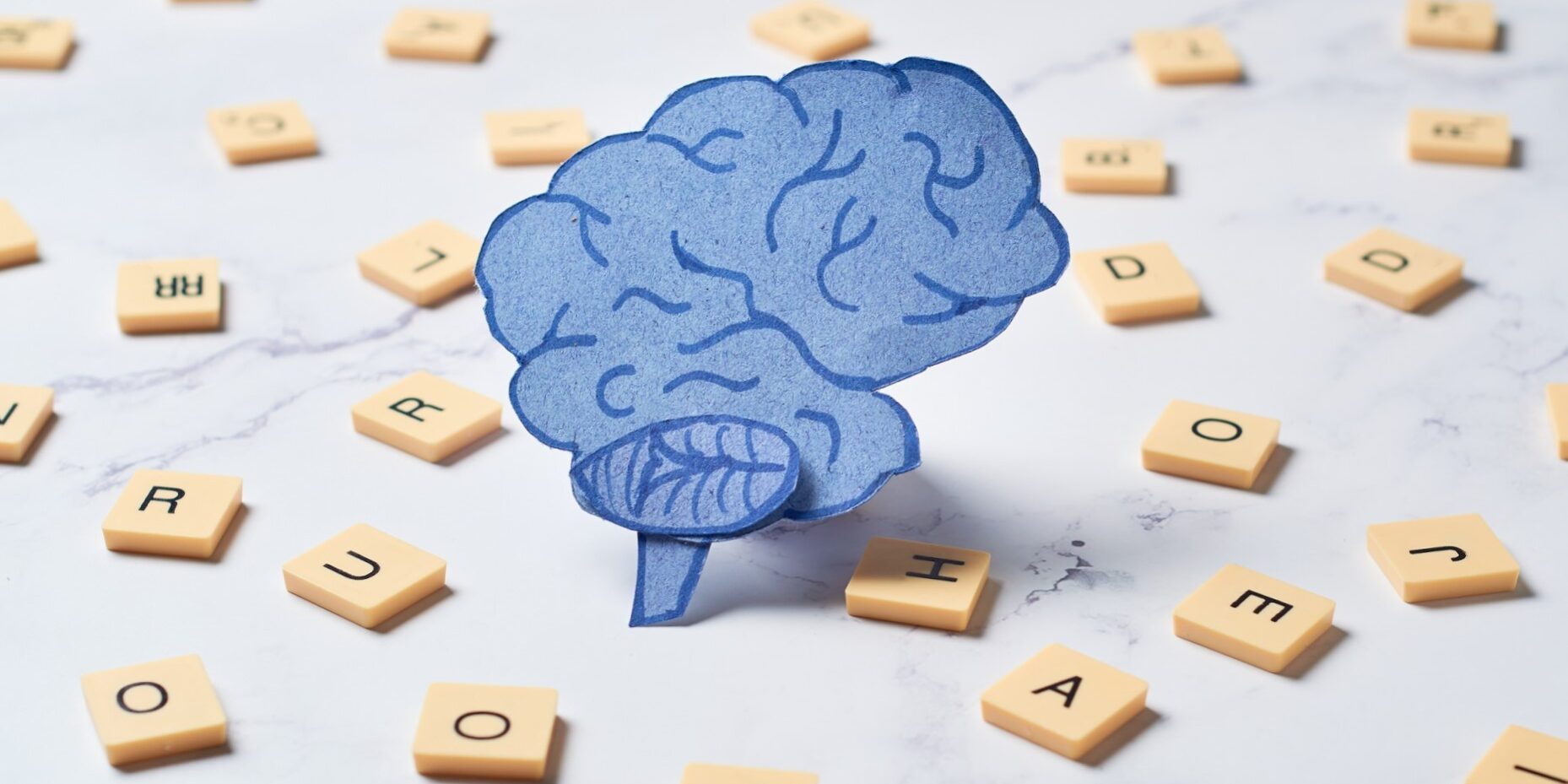 psicóloga para tratar el TDAH en Valencia - cerebro