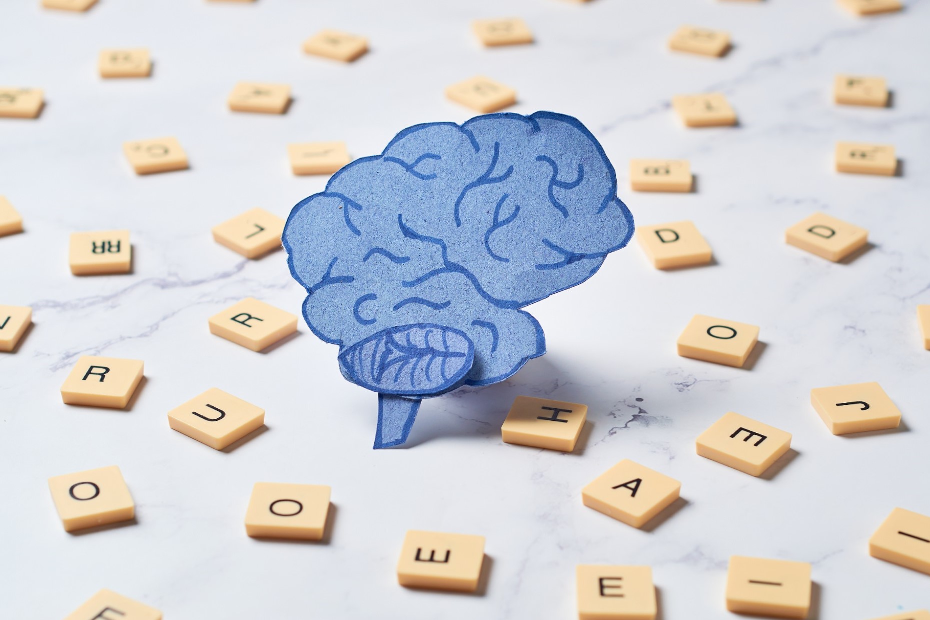 psicóloga para tratar el TDAH en Valencia – cerebro psicóloga para tratar el TDAH en Valencia - cerebro